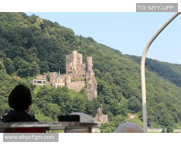 德国与奥地利精彩赛事直播全程回顾与分析尽在这里